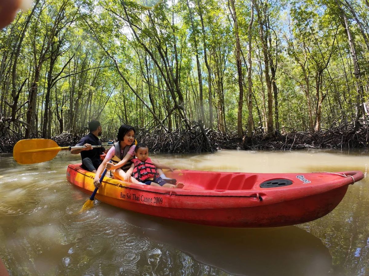 Absolute kayaking mangrove krabi @ aonang, Krabi