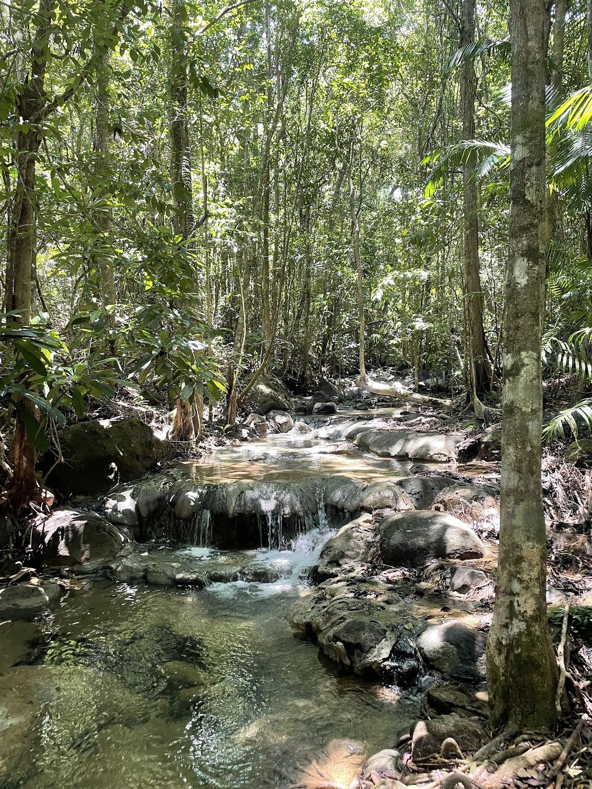 Khao Ngon Nak Nature Trail photo 2
