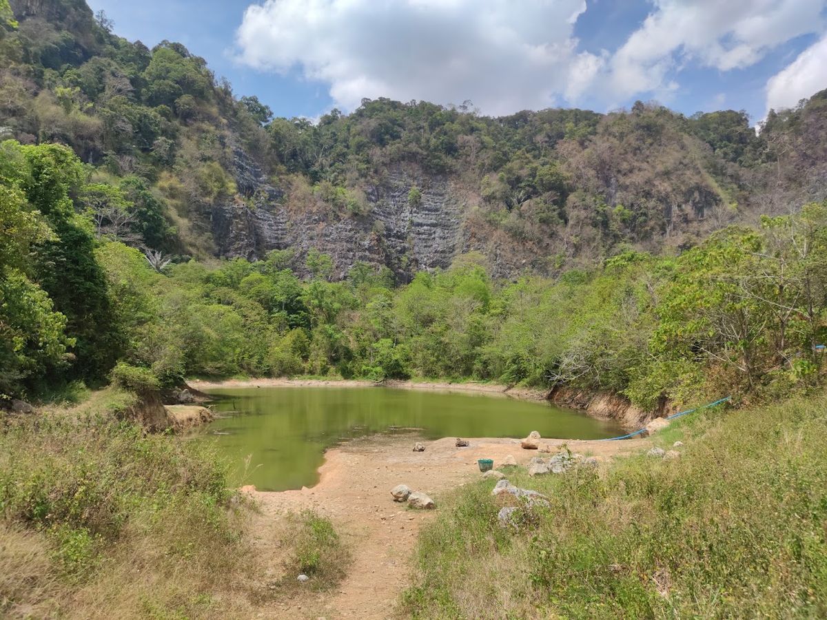 Krabi Elephant Green Sanctuary photo 4