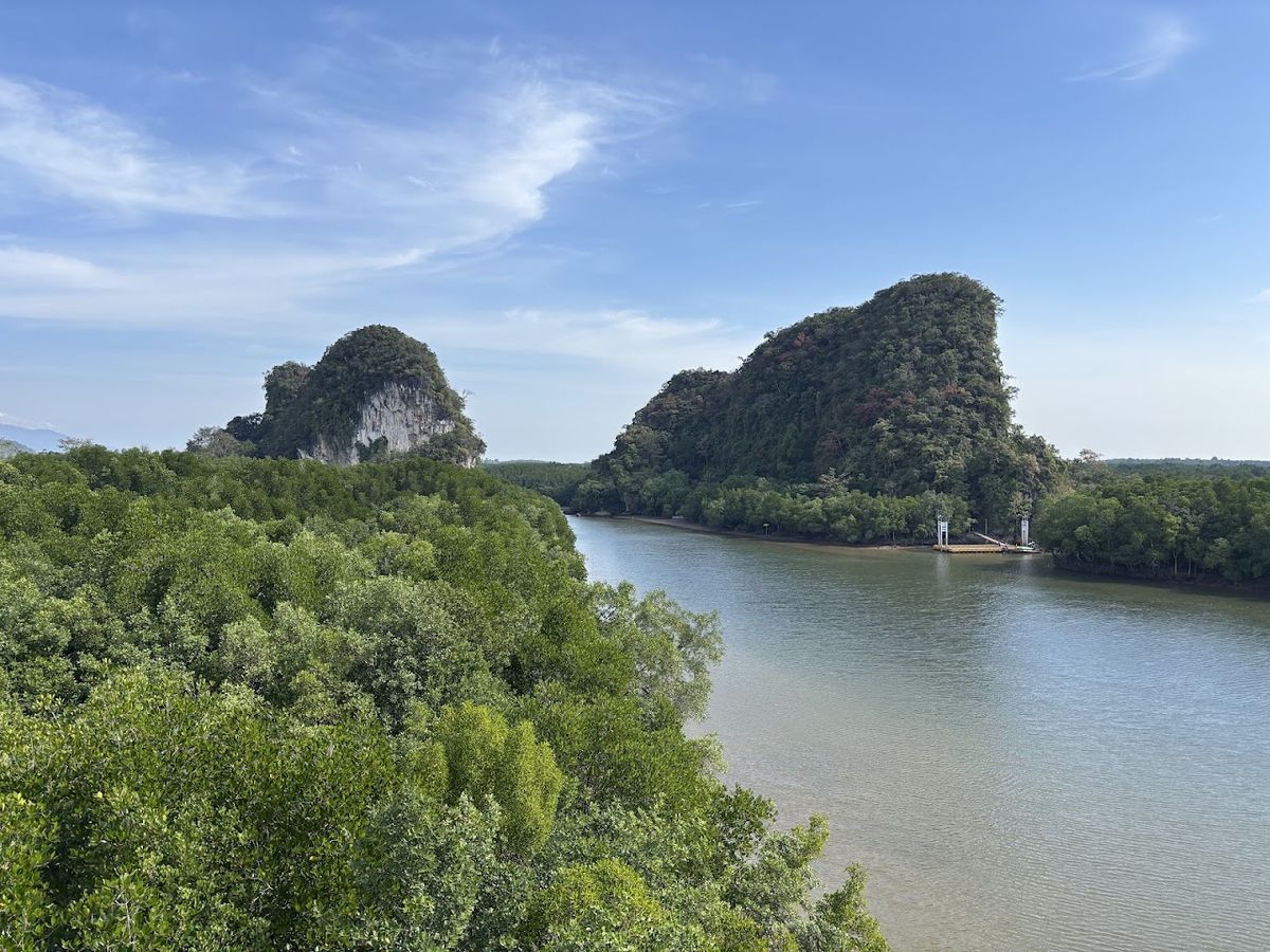 ศูนย์บริหารจัดการทรัพยากรป่าชายเลนจังหวัดกระบี่ photo 4