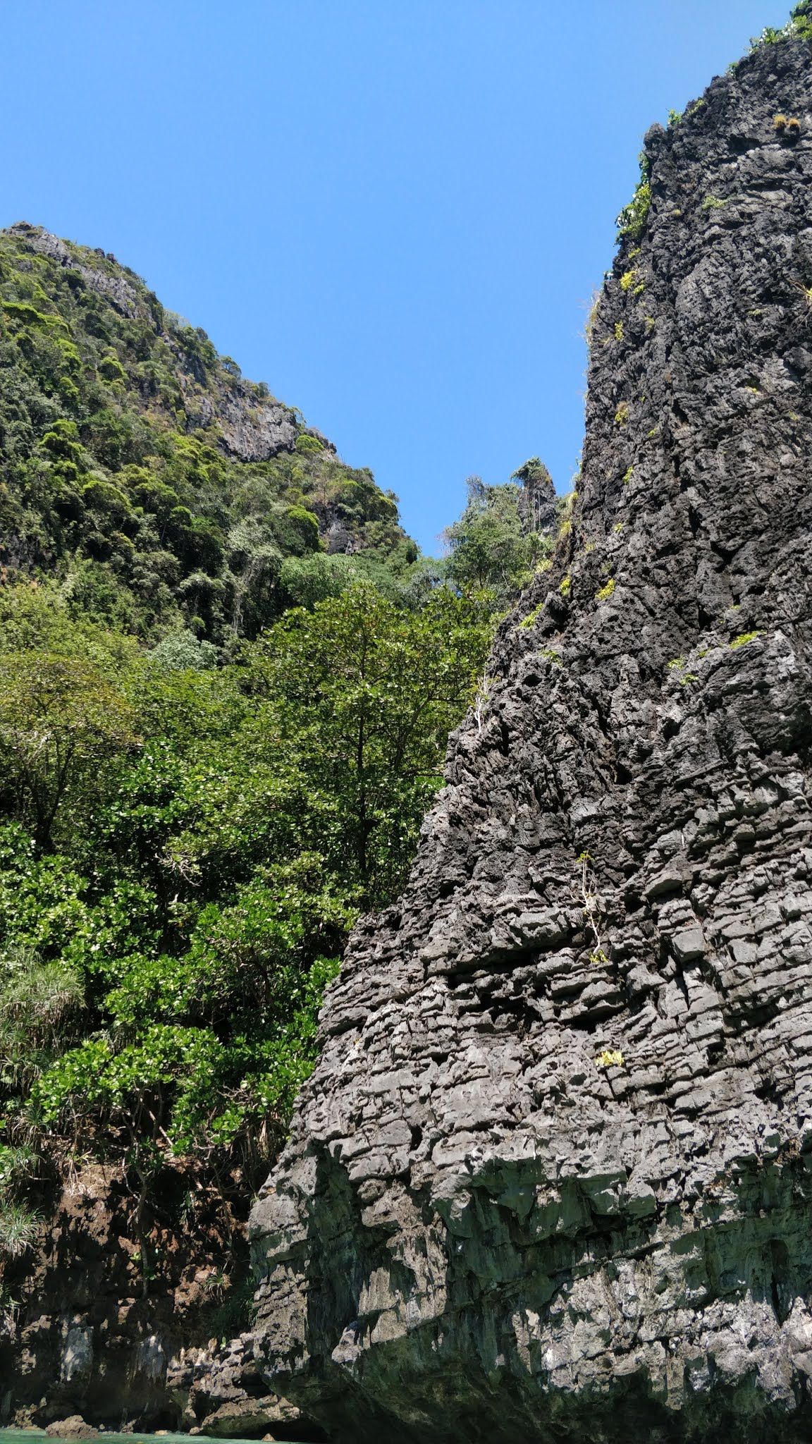 Wang Long Bay photo 4