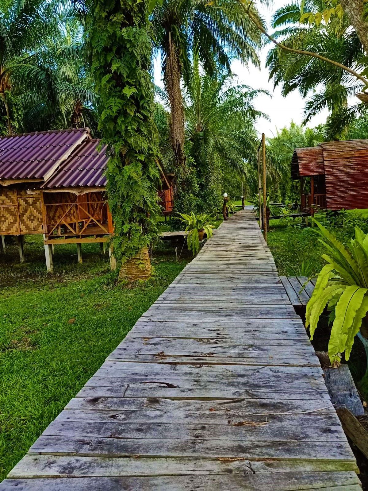 คุ้มคชานันท์ - Koom Kachanaan - Regis Homestay exterior in Tubkaek